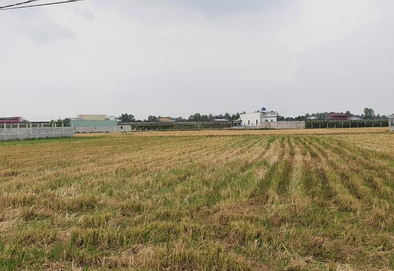 Chuyển mục đích sử dụng gần 30 ha đất lúa tại Trà Vinh